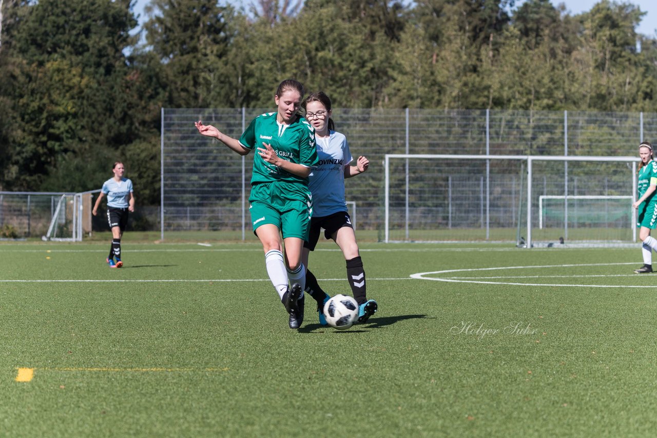 Bild 102 - wBJ FSG Kaltenkirchen - MSG Siebenbaeumen-Krummesse : Ergebnis: 2:5